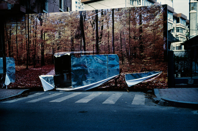 Blue Mud Swamp [Signed]