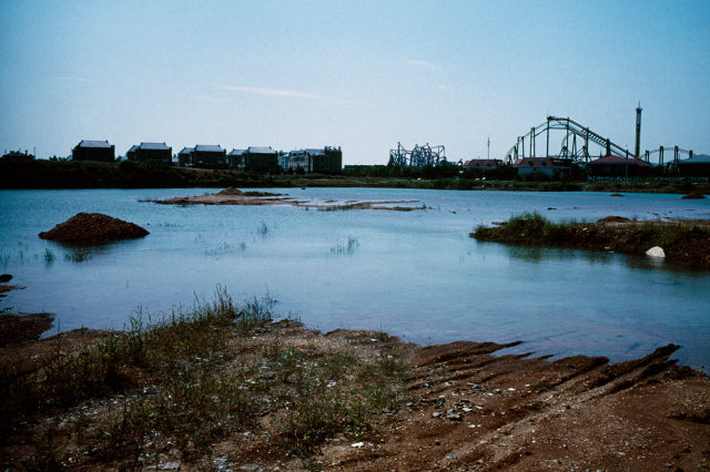 Blue Mud Swamp [Signed]