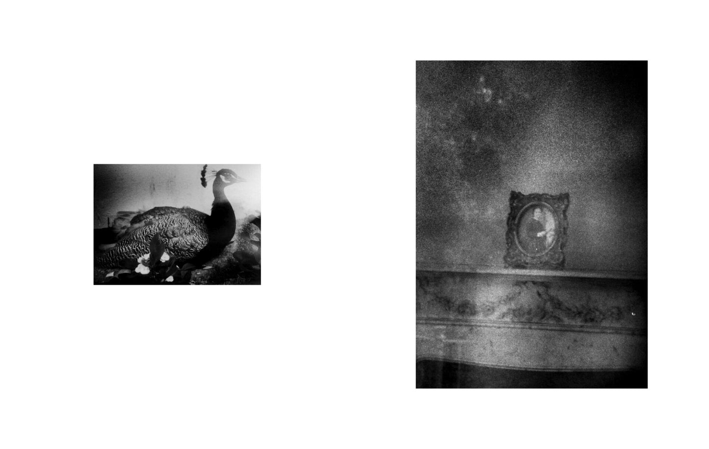 Soledades [Signed]