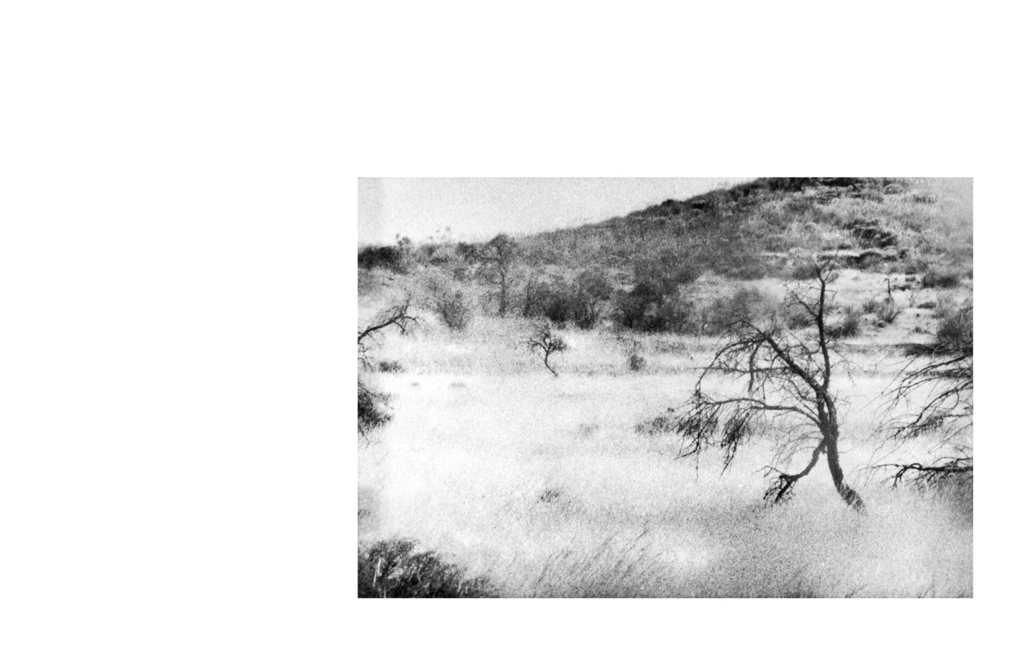 Soledades [Signed]