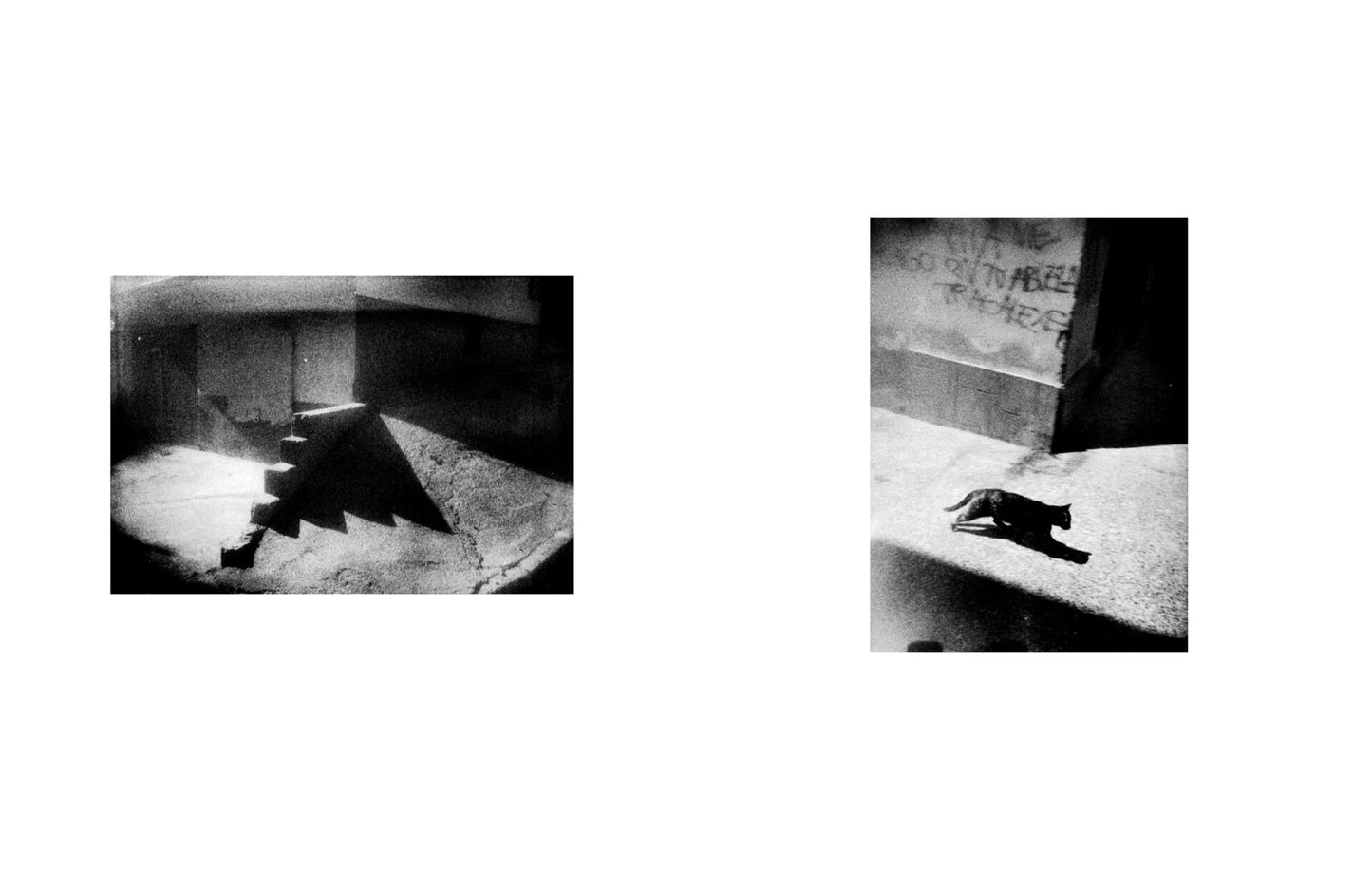 Soledades [Signed]