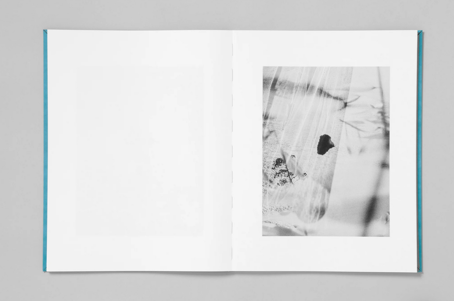 Odyssey [Signed]