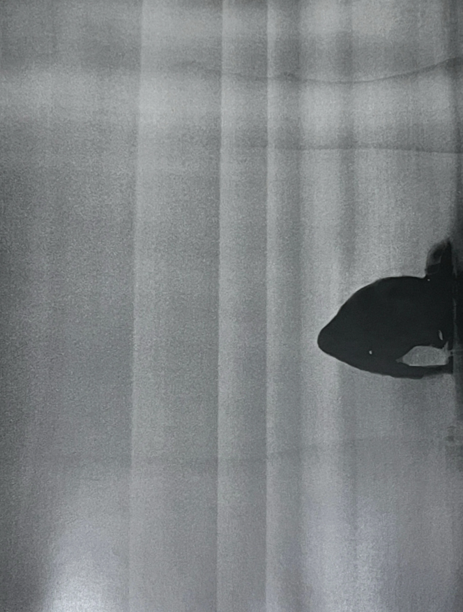 Untitled #1 by Daisuke Yokota