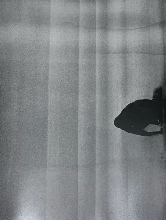 Untitled #1 by Daisuke Yokota
