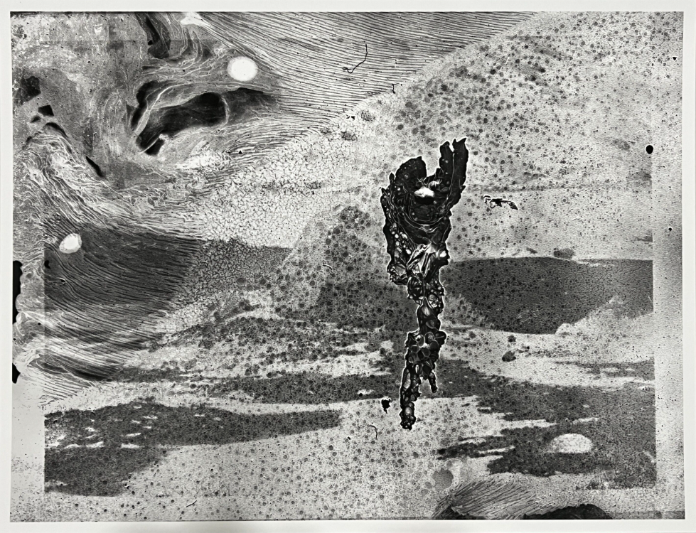 Untitled #6 SP Edition