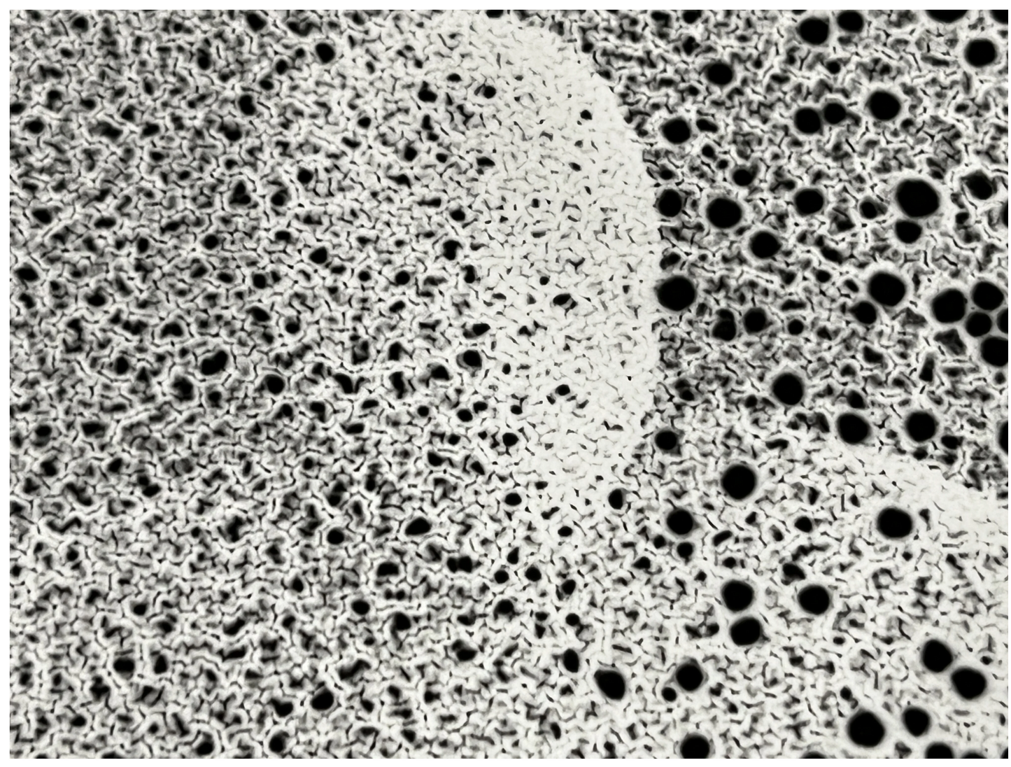 Untitled #9 SP Edition