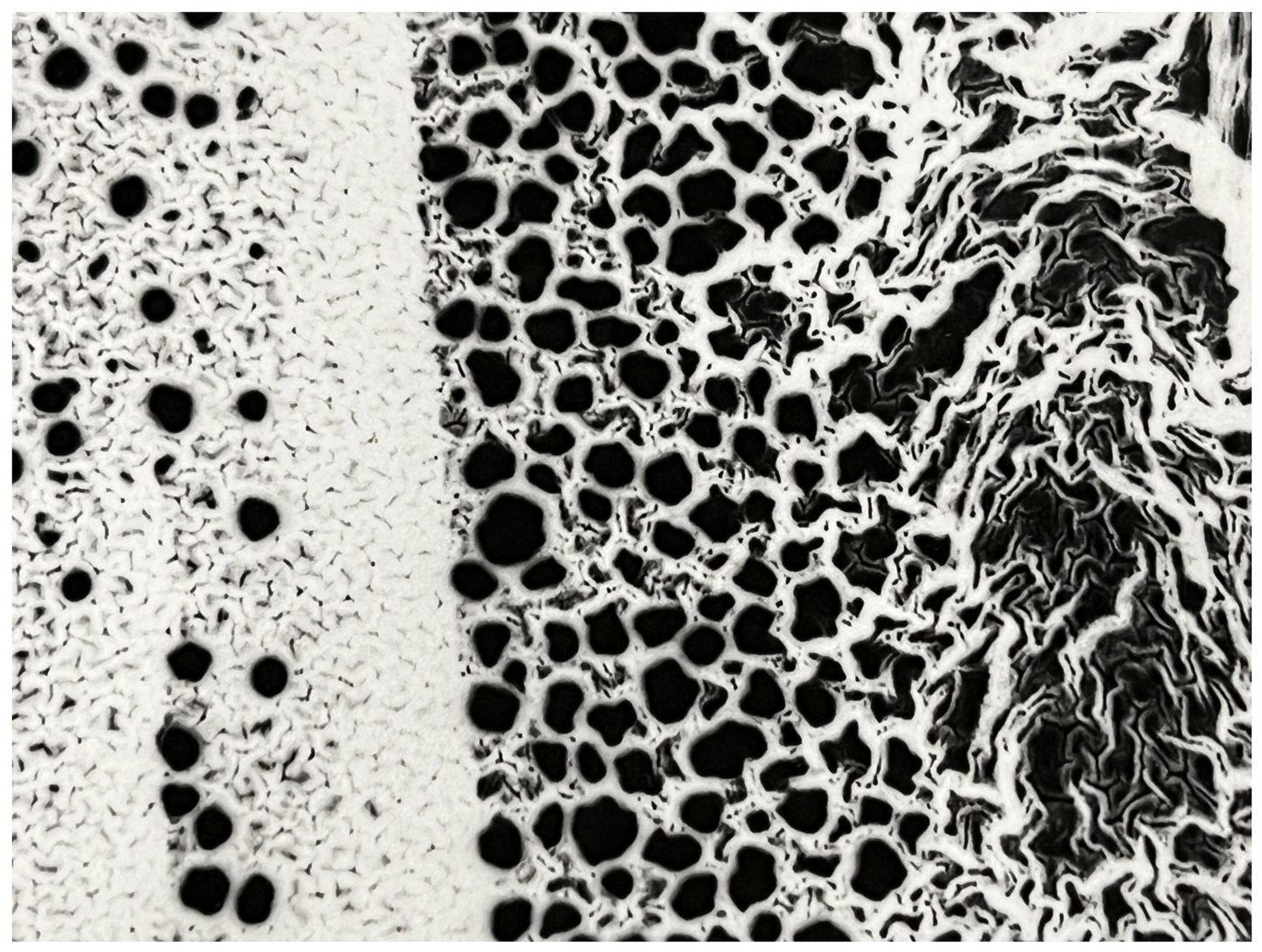 Untitled #9 SP Edition
