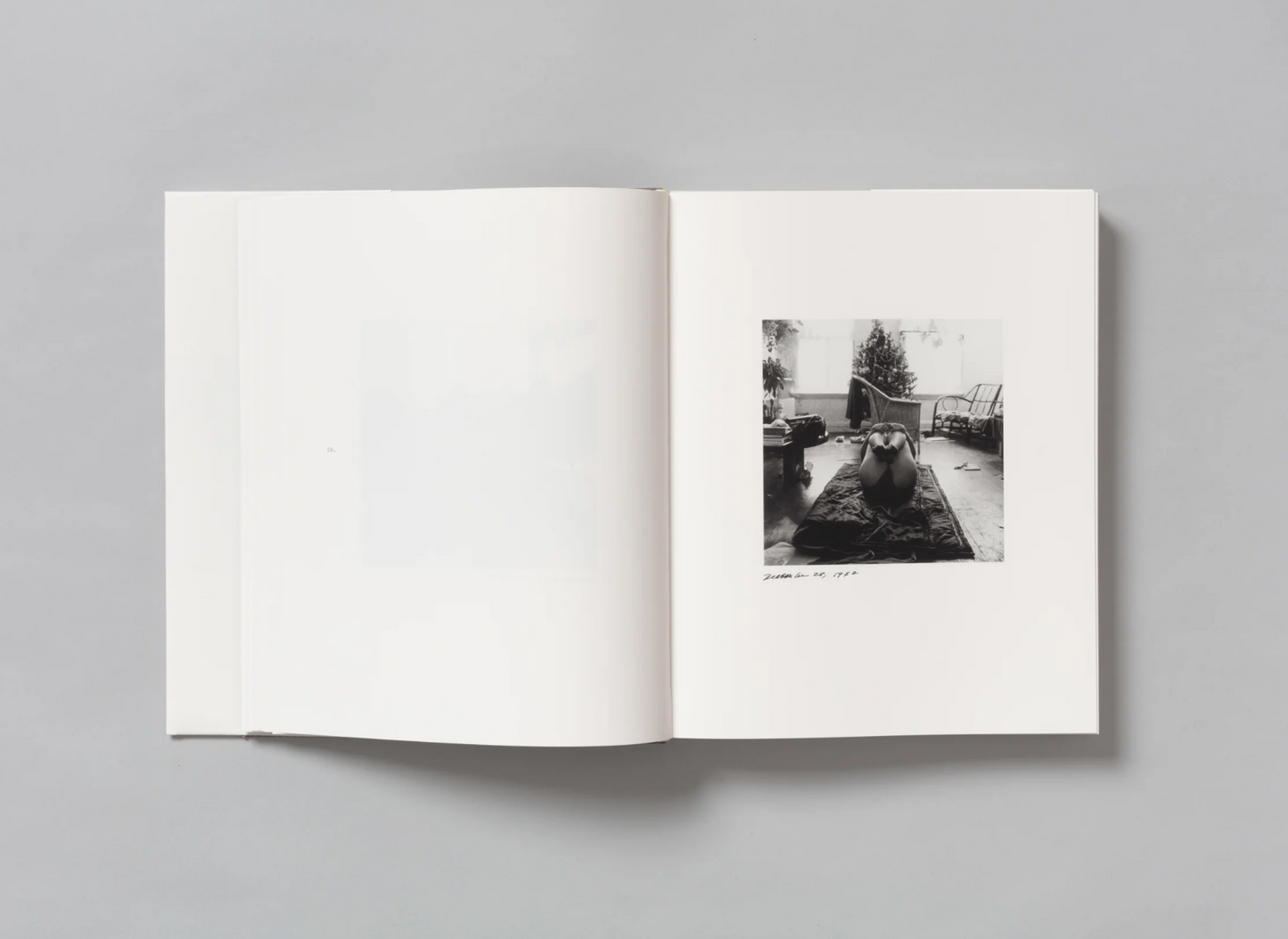 Daily Self-Portraits 1972–1973