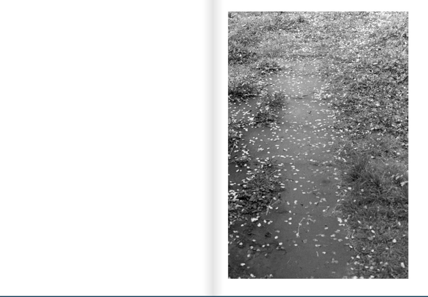 Haus, Weg, Baum [Signed]