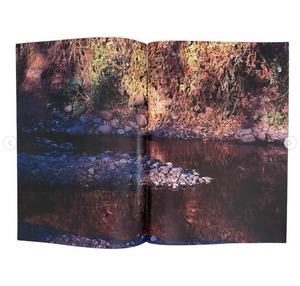 Plants, middle reaches of Tama River, winter - signed