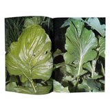 Plants, middle reaches of Tama River, winter - signed