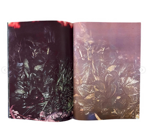 Plants, middle reaches of Tama River, winter - signed