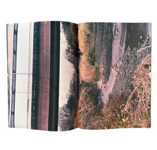 Plants, middle reaches of Tama River, winter - signed