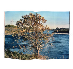 Plants, middle reaches of Tama River, winter - signed