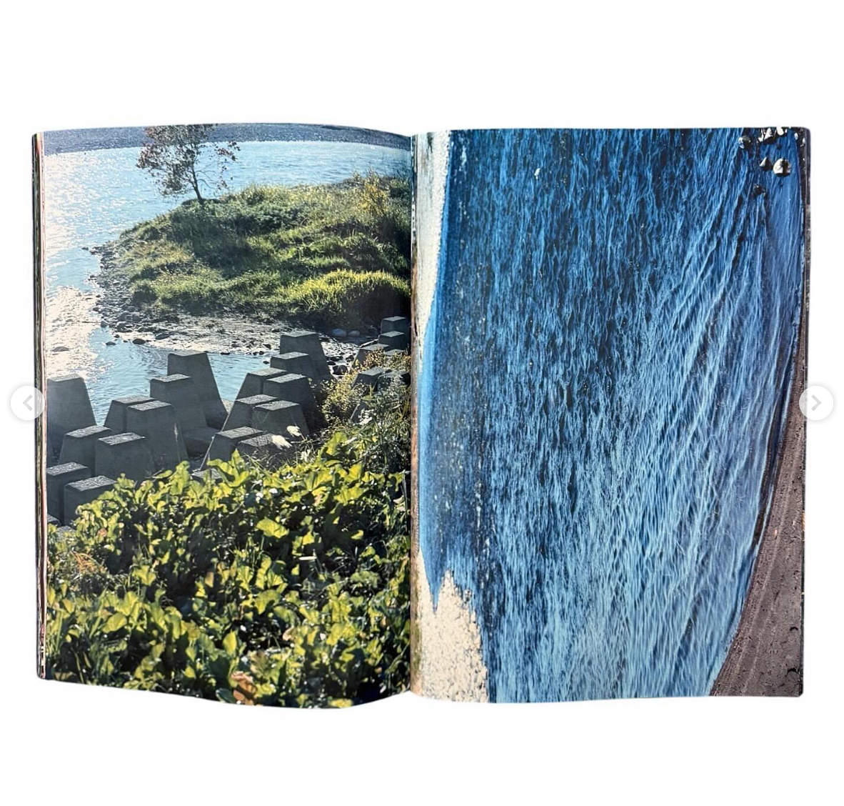 Plants, middle reaches of Tama River, winter [Signed]
