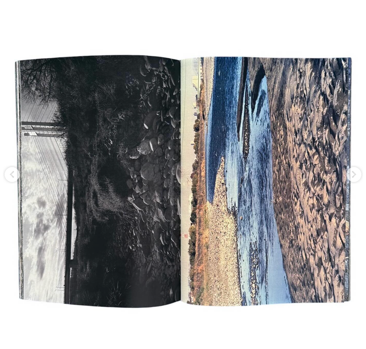 Plants, middle reaches of Tama River, winter [Signed]