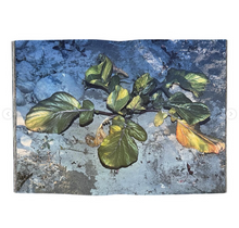 Plants, middle reaches of Tama River, winter - signed