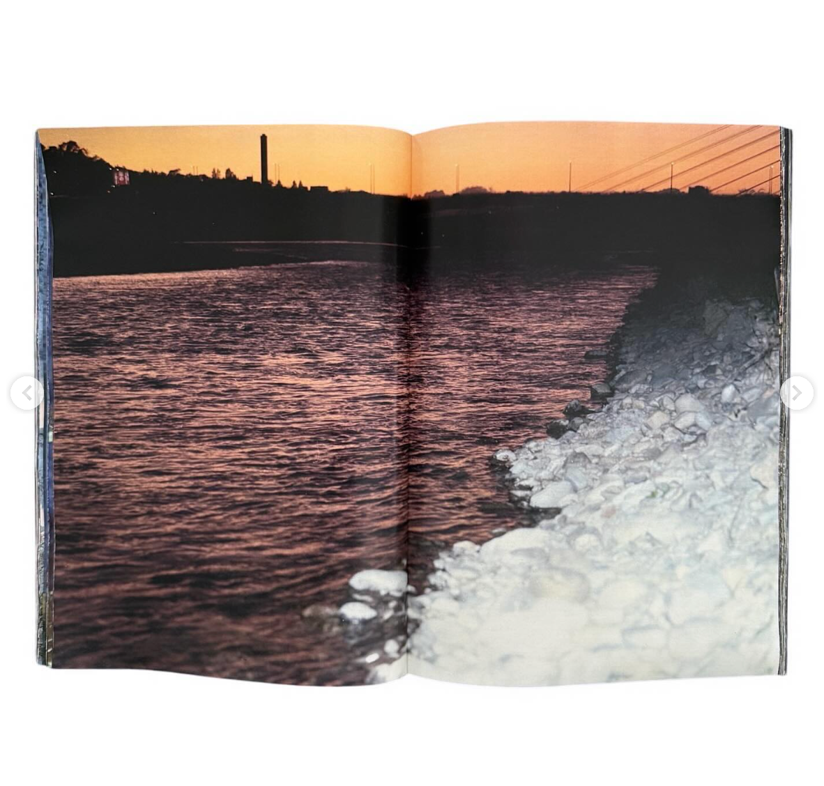 Plants, middle reaches of Tama River, winter [Signed]