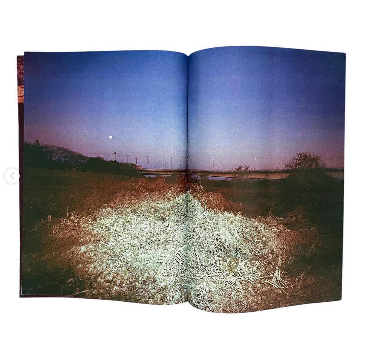Plants, middle reaches of Tama River, winter [Signed]