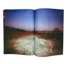 Plants, middle reaches of Tama River, winter - signed