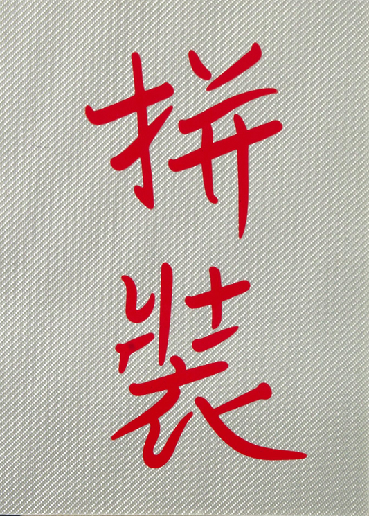 Porfolio Pin Zhuang