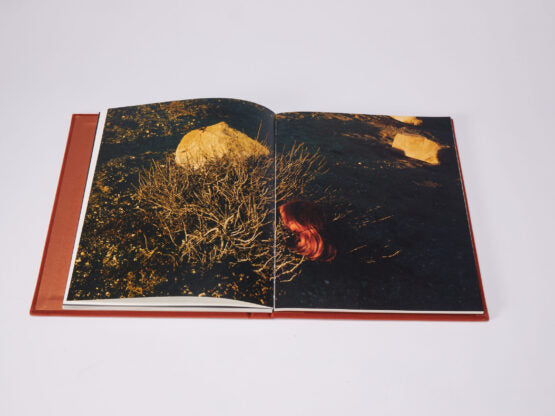 Positive Disintegration [Signed]
