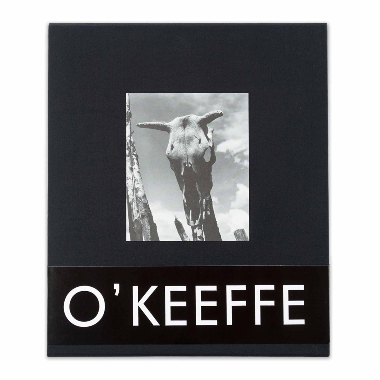 Georgia O'Keeffe - First edition