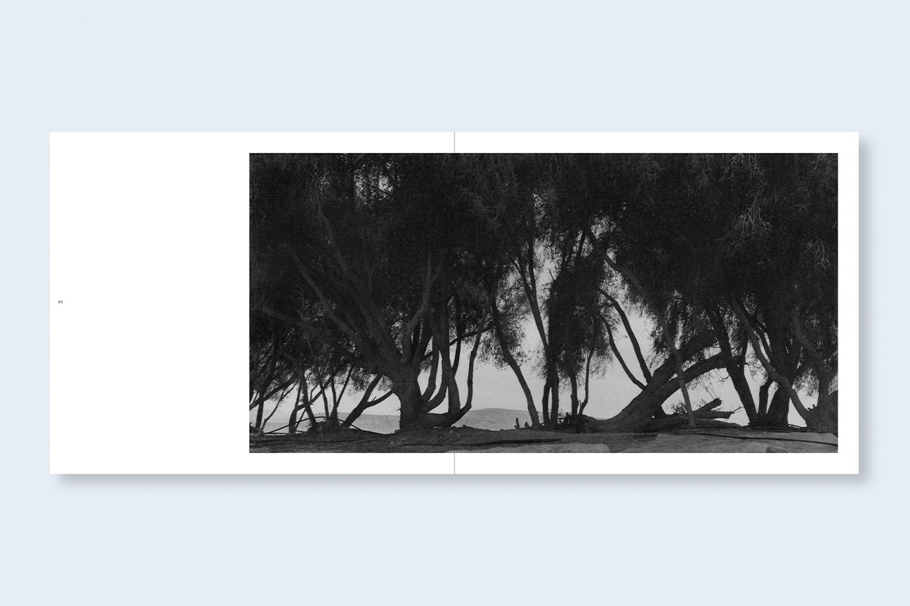Unnamed Road
