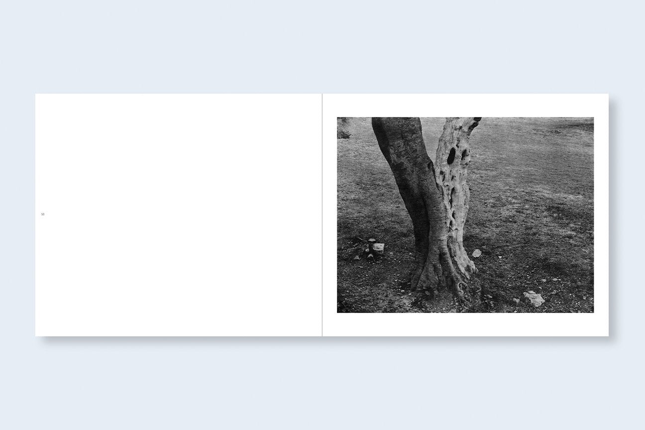 Unnamed Road