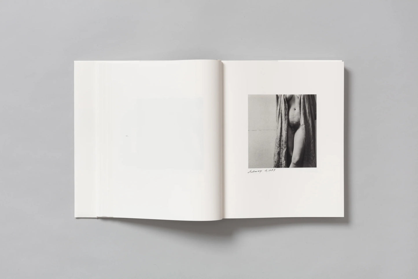 Daily Self-Portraits 1972–1973