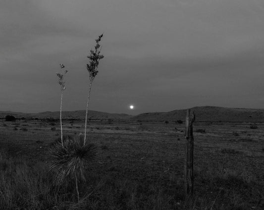 West Texas Moonrise, 2020 by Bryan Schutmaat