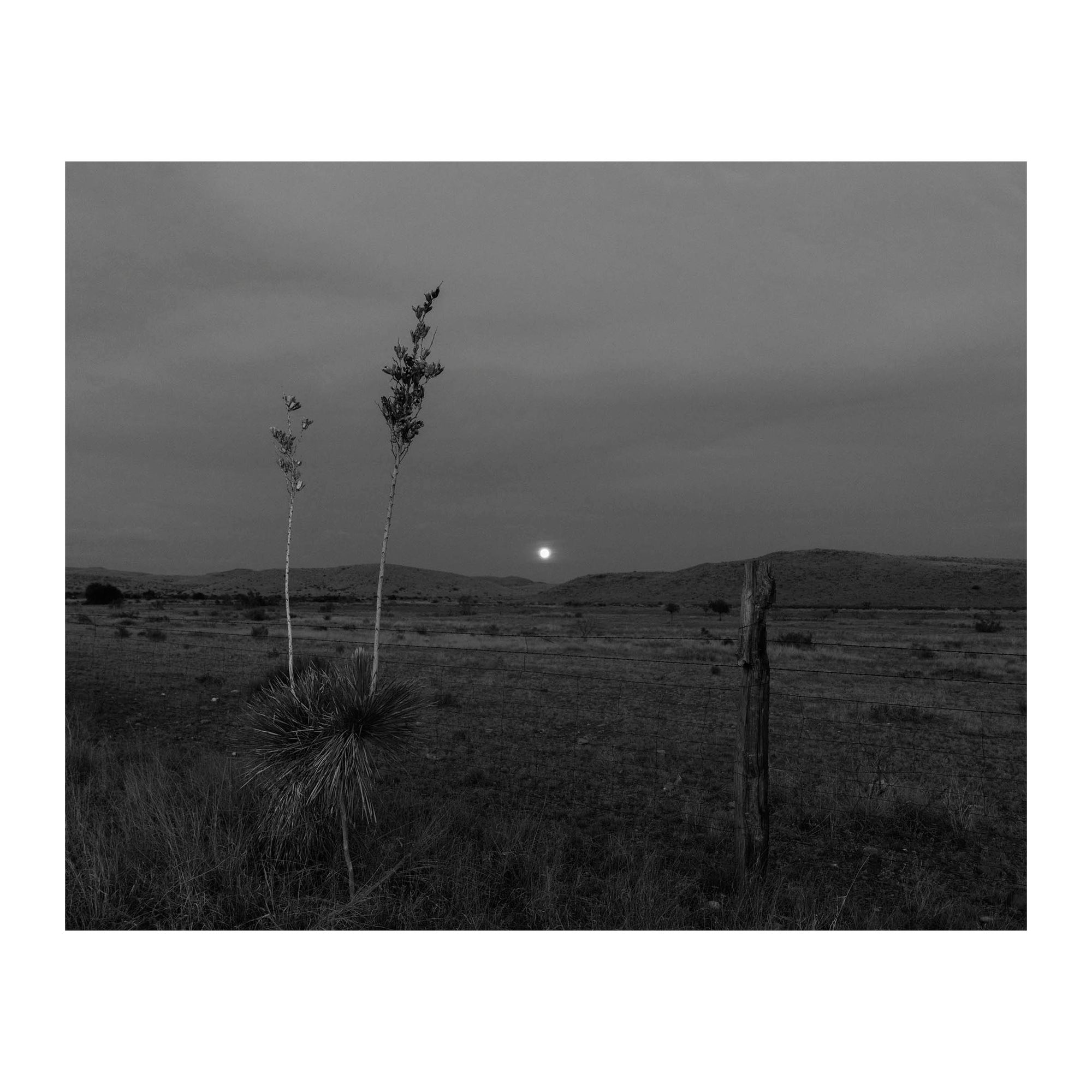 West Texas Moonrise, 2020