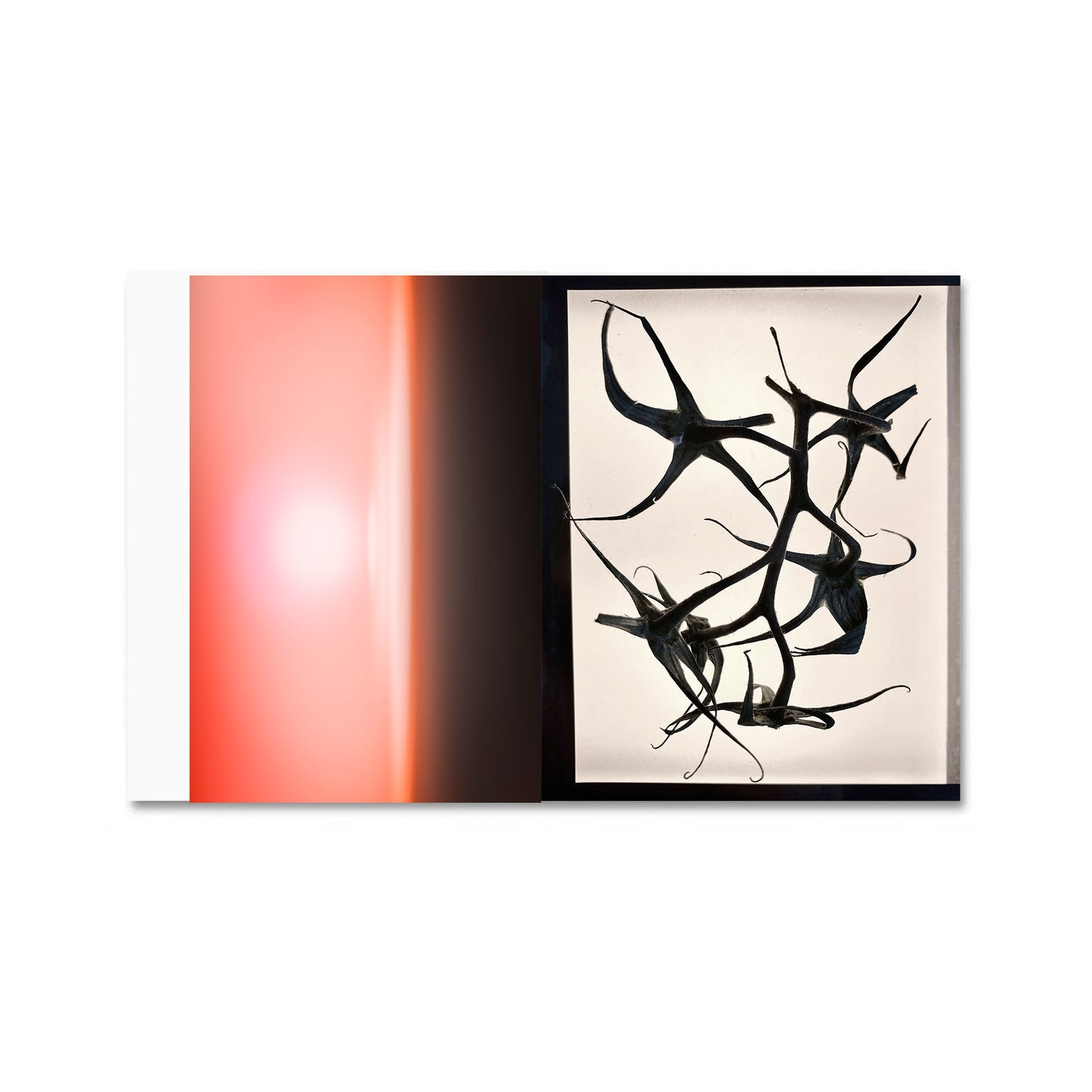 Editions I