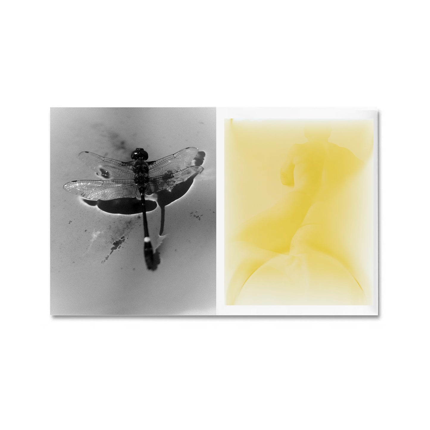 Editions I