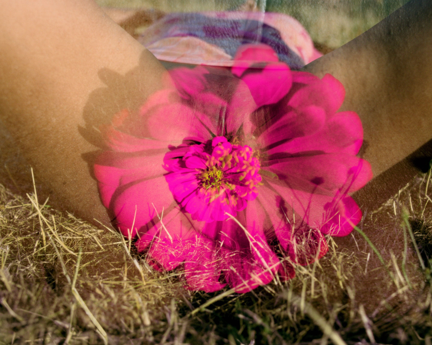 PETAL [Signed]