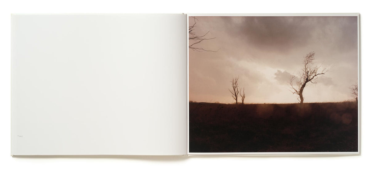 A Road Divided [Signed]