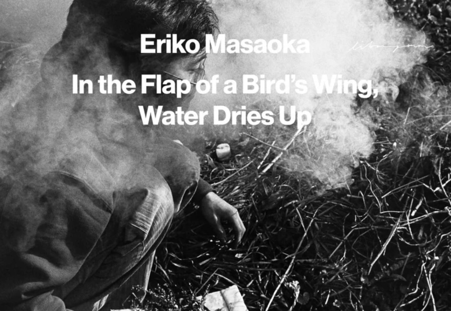 In the Flap of a Bird’s Wing, Water Dries Up