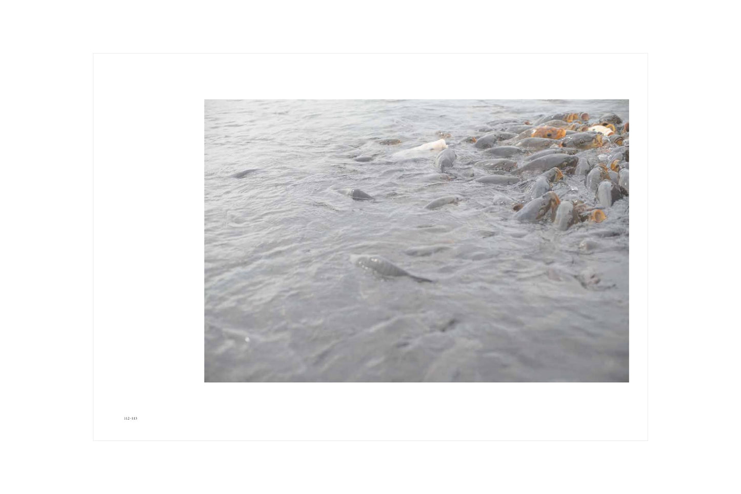 Inhabiting Light – Dialogue on the Edge of the Everyday World