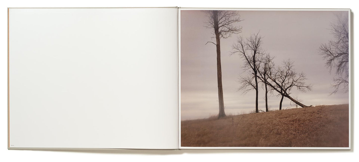 Excerpts from Silver Meadows [Signed]