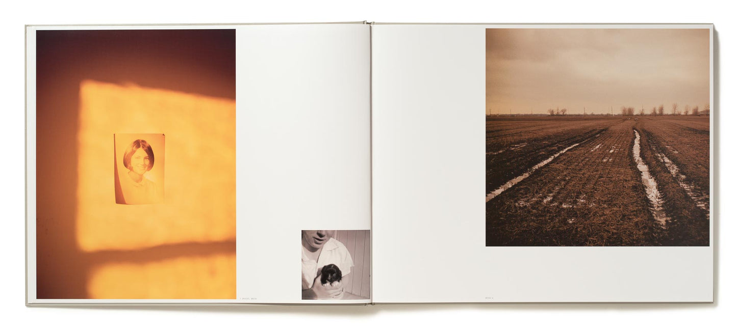 Excerpts from Silver Meadows [Signed]