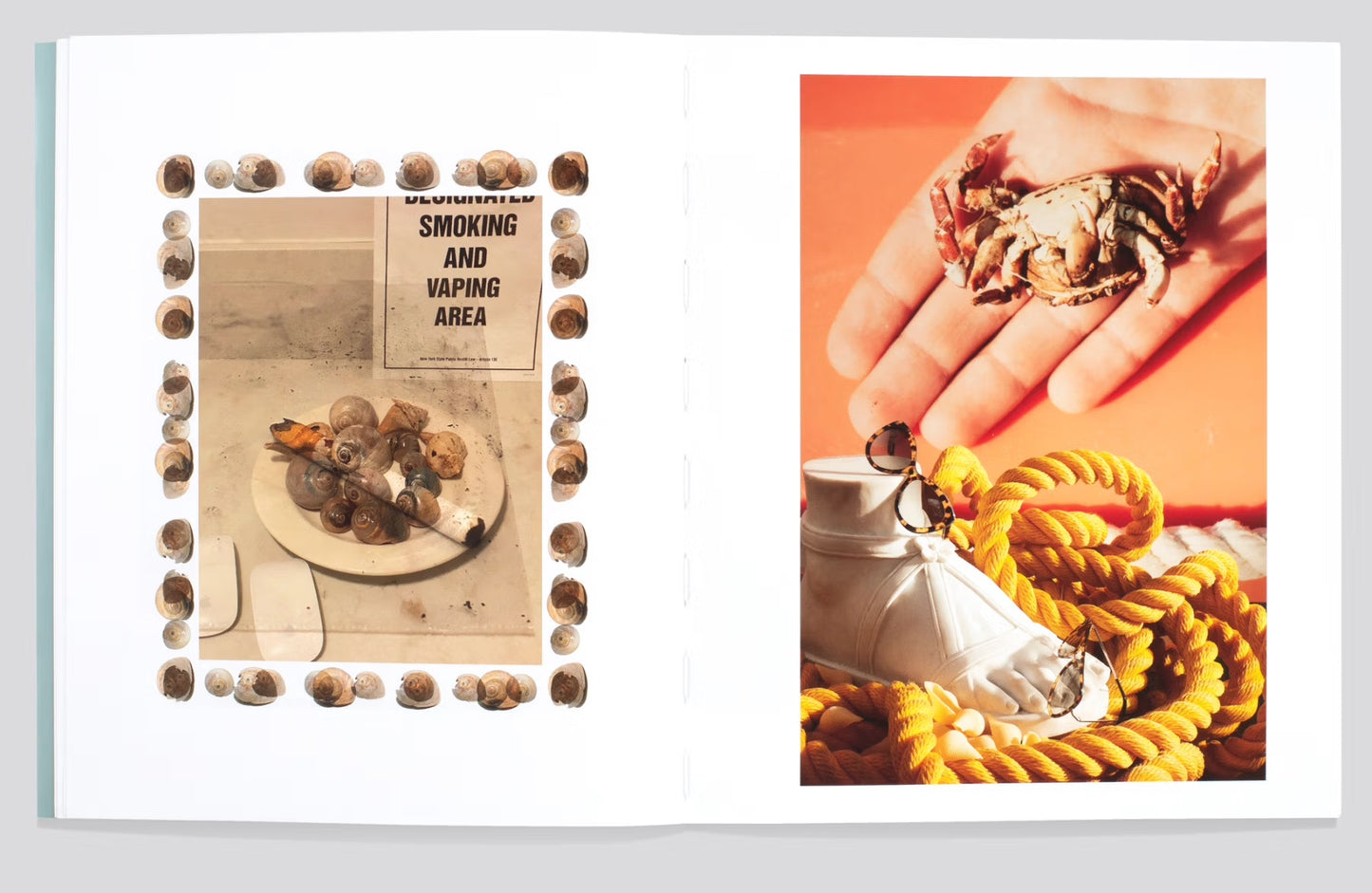 Shells [Signed]