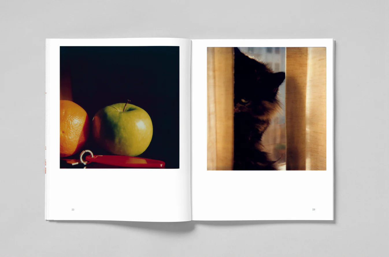 L.A. Polaroids