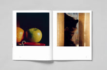 L.A. Polaroids