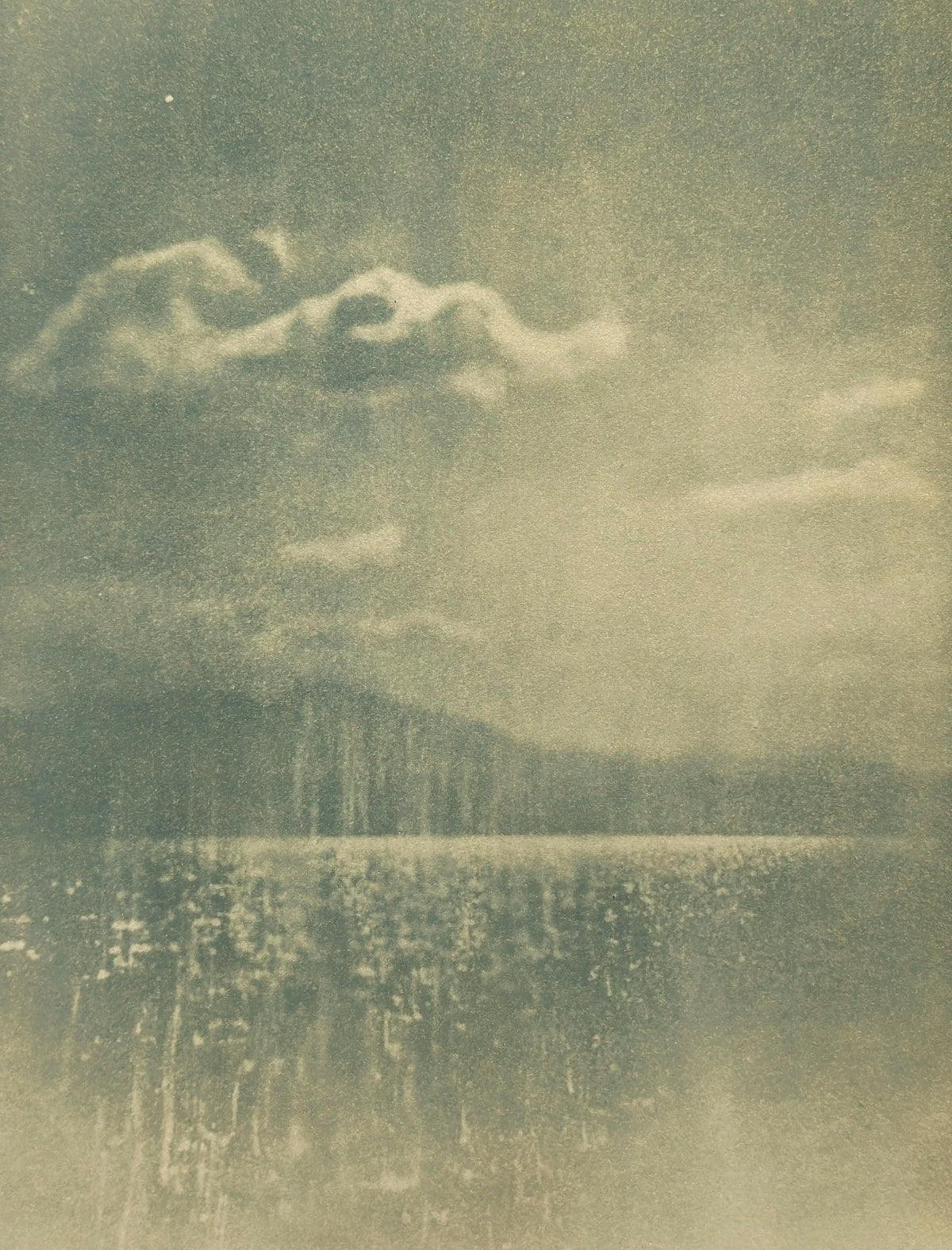 golden radiance — Melanie Schoeniger