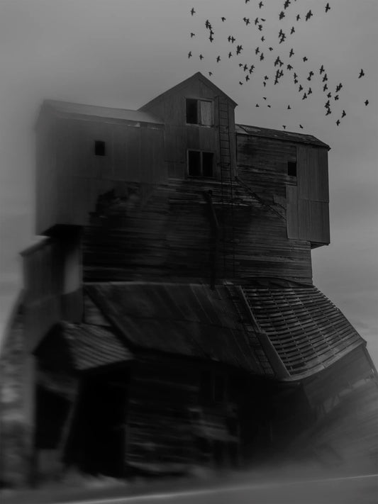 Grain Elevator, Palouse (2025) — Delaney Allen