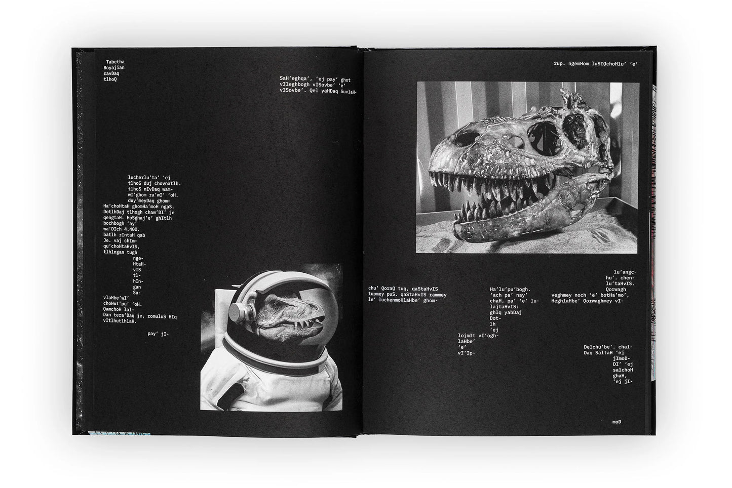 HeghDI' vem ghaH, tu'lu' Dinosaur