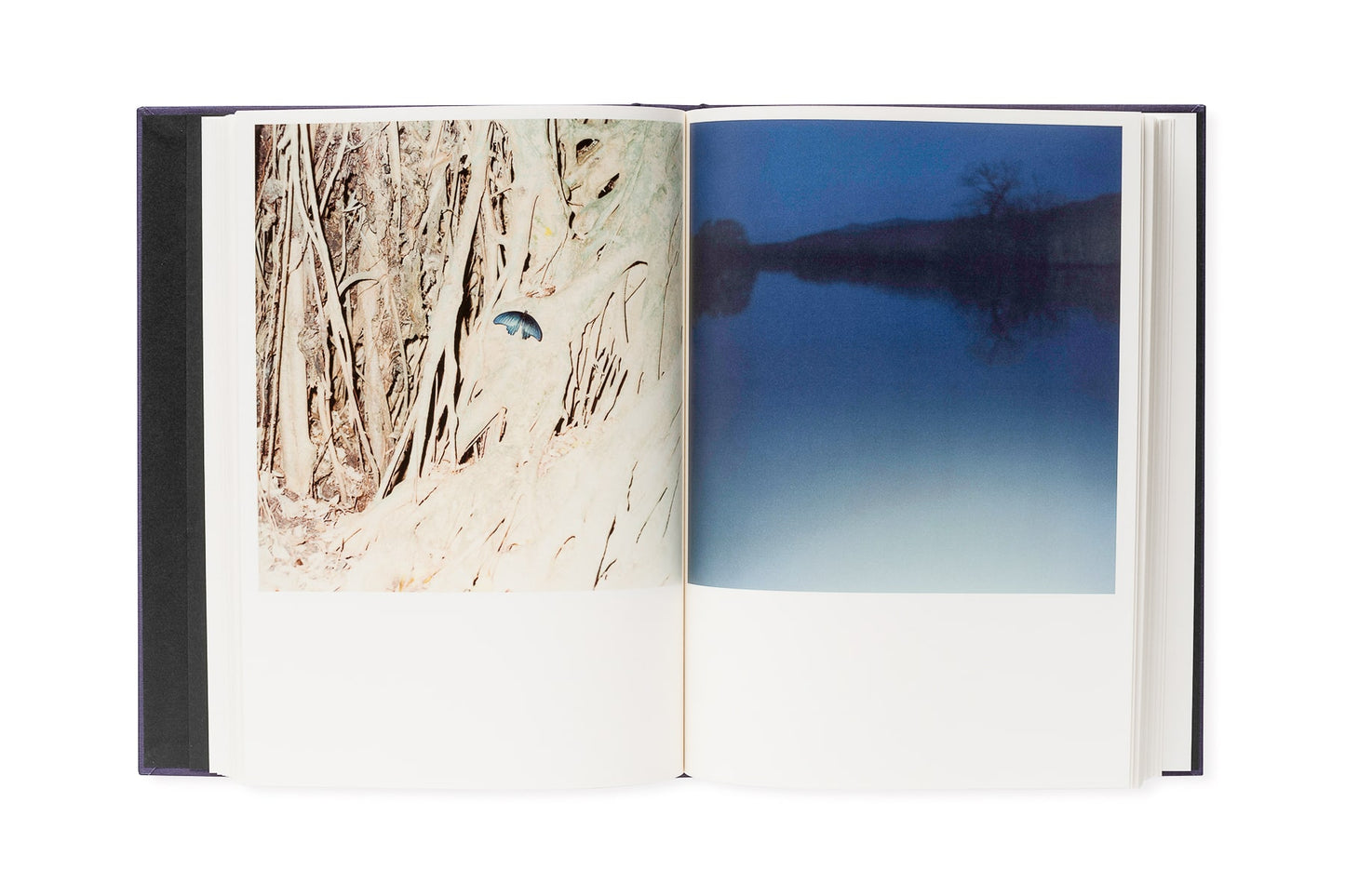 Illuminance - 10th Anniversary Edition [Signed]