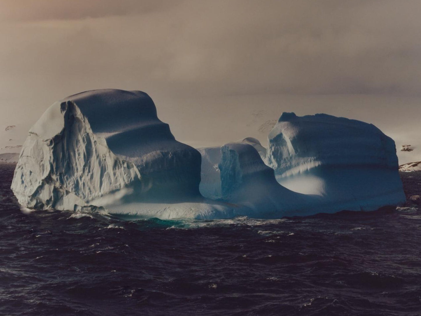To The Antarctic [Signed]