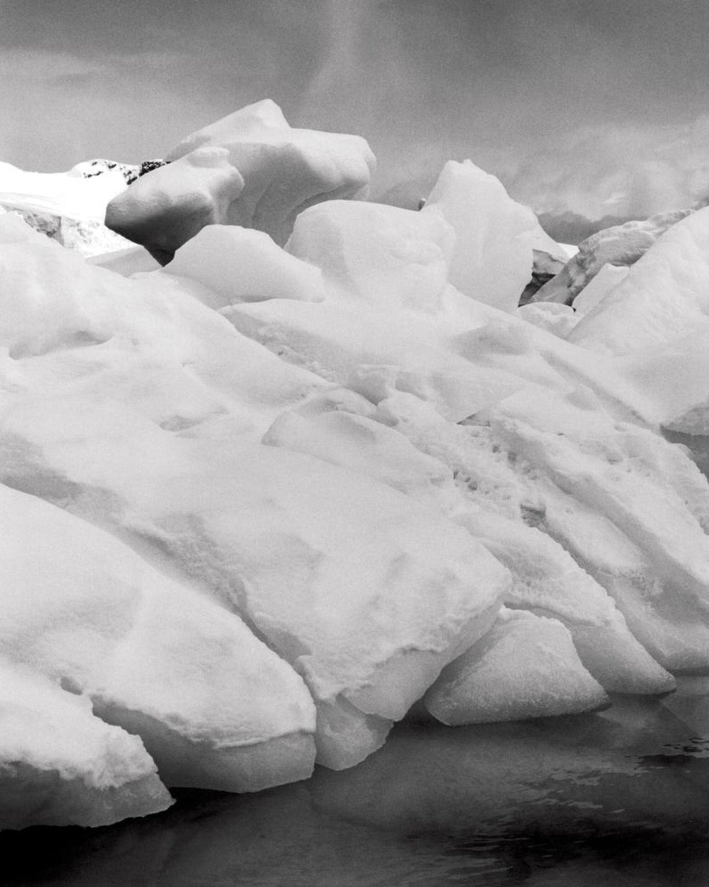 To The Antarctic [Signed]