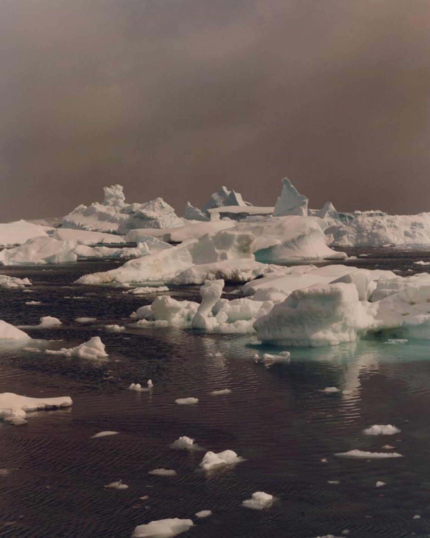 To The Antarctic [Signed]